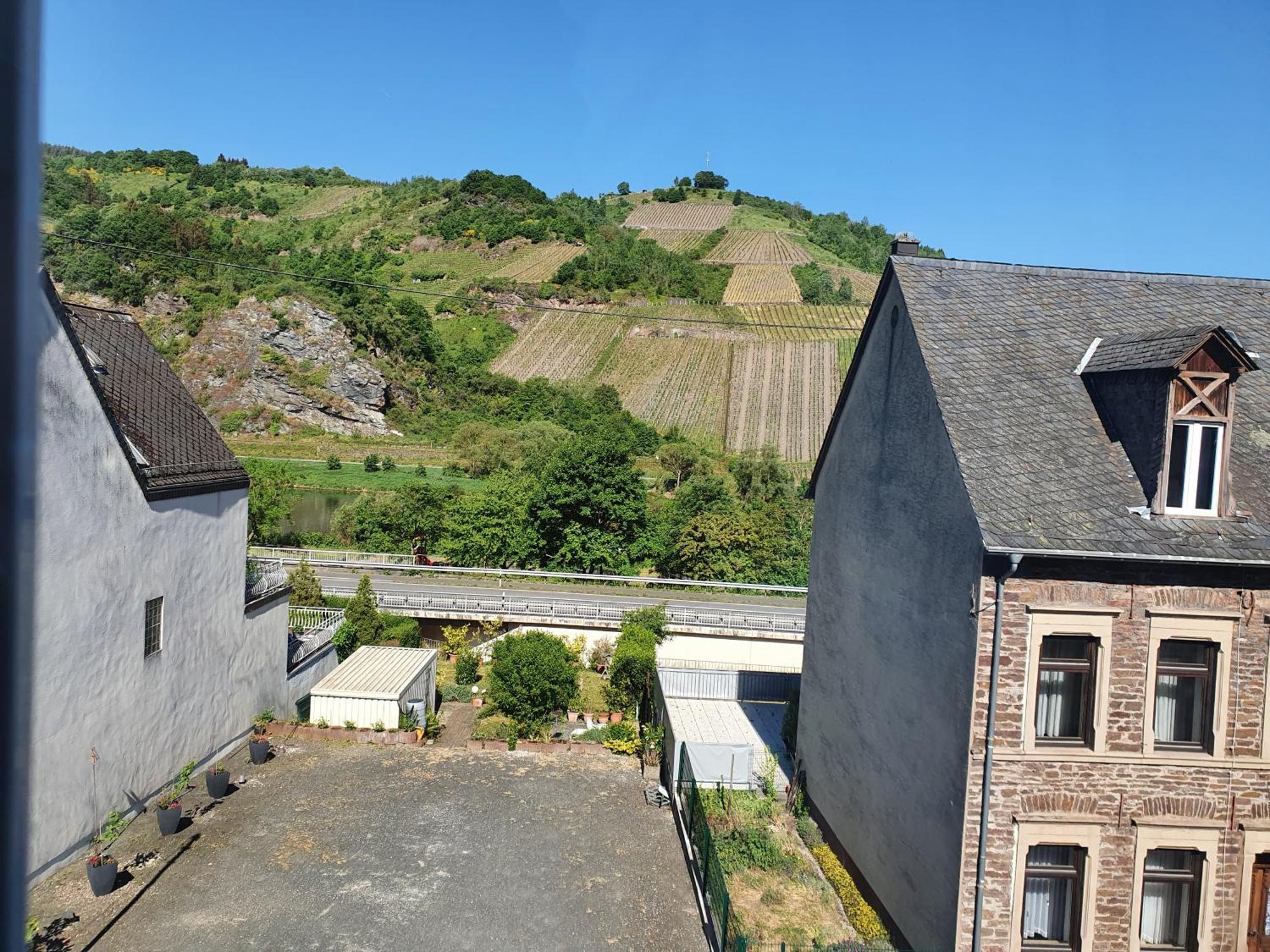 Gaestehaus Hotel Zum Weinberg Burg  Cameră foto